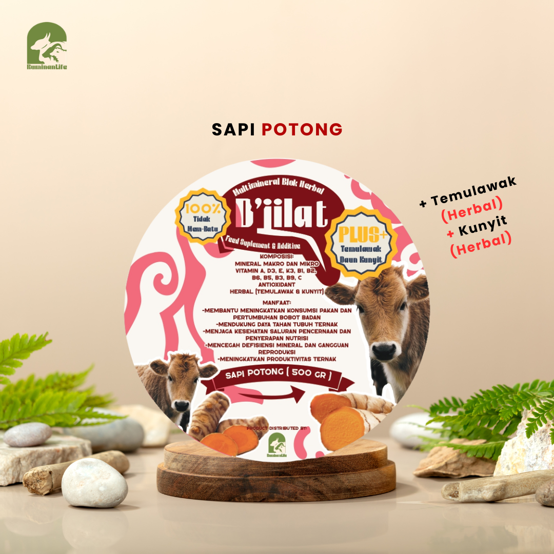 D'Jilat Multimineral Blok Herbal Product