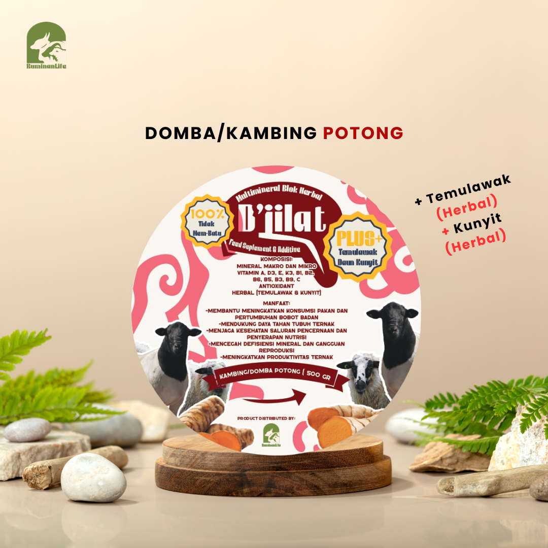 D'Jilat Multimineral Blok Herbal Product