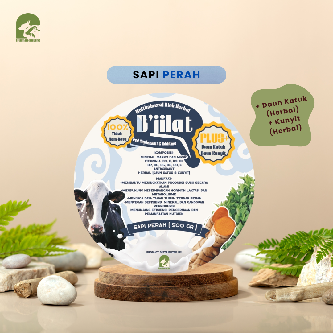 D'Jilat Multimineral Blok Herbal Product