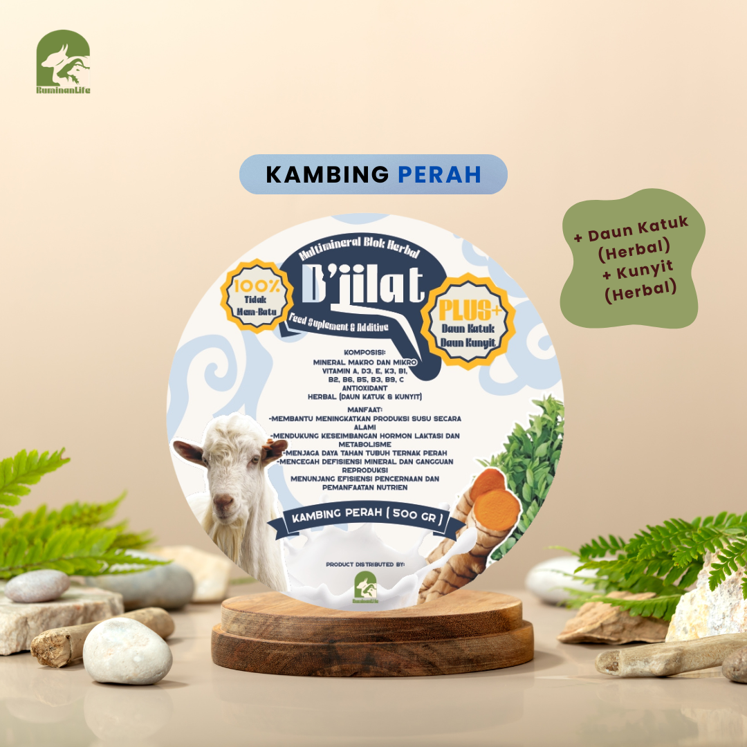 D'Jilat Multimineral Blok Herbal Product